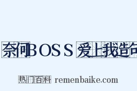 奈何BOSS爱上我造句是什么意思的图片